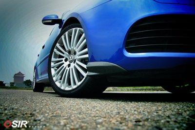 SphyrnaR32402.jpg SphyrnaR32402.jpg