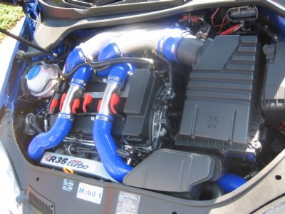 Bilder 230.jpg klein.jpg