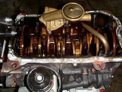 sony  fotos 043 Kopie.jpg