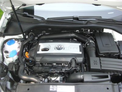 bella baby gti (11).jpg