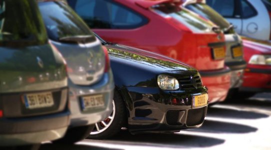 P7189051teas copy.jpg