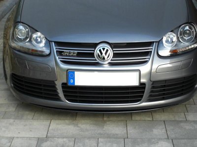 Schwert-Lippe 015.jpg