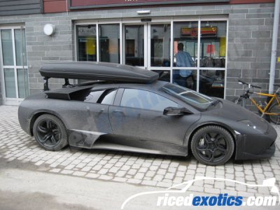 murcielago_005.jpg