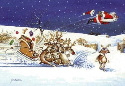 weihnachten  gguten felug.jpg