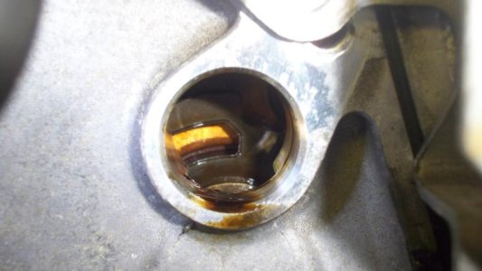 1005981kcoxzlhiwu.jpg 1005981kcoxzlhiwu.jpg