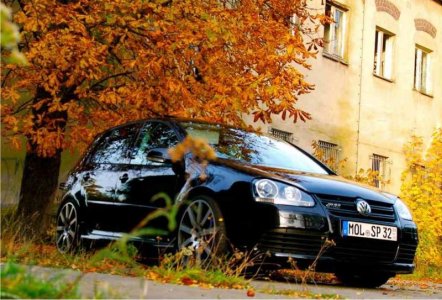 ImageUploadedByTapatalk1355854475.026684.jpg ImageUploadedByTapatalk1355854475.026684.jpg