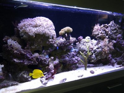 IMG_20121223_112035 (Klein).jpg