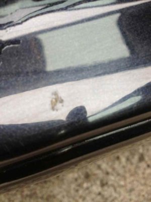 ImageUploadedByTapatalk1364918203.778589.jpg ImageUploadedByTapatalk1364918203.778589.jpg