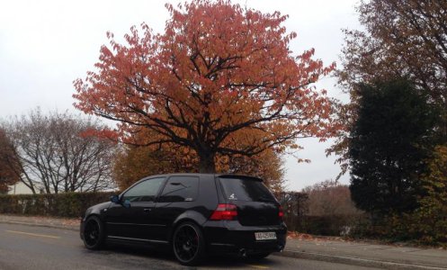 Foto 09.11.14 14 04 29.jpg