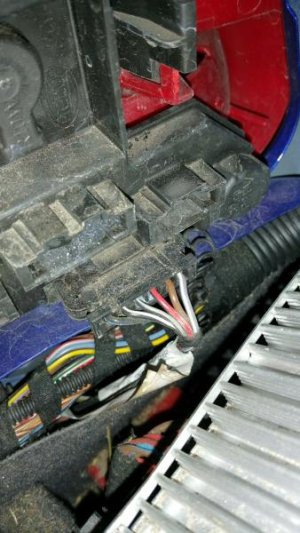 2016-01-28 13.53.30.jpg