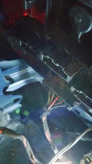 2016-01-28 13.52.59.jpg