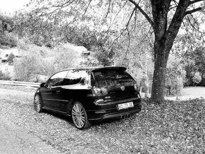 P1010041corel222222 jpegsw Kopie r.jpg