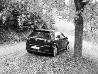 P1010034adobe222222sw Kopie r.jpg