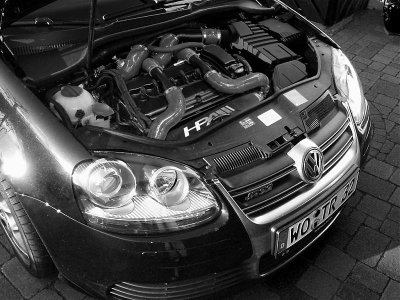 P1010005hgp22 Kopie22sw22 r.jpg