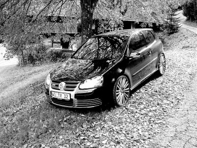 P1010038iiicorel jpeg sw r .jpg