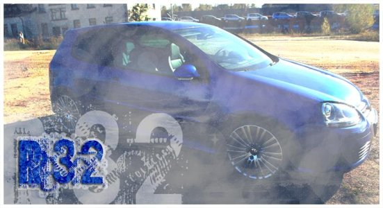 mein neuer liebling.jpg