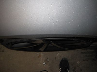 IMG_1214.JPG IMG_1214.JPG