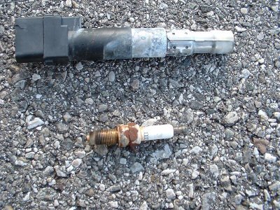 Meine Zündspulen.jpg