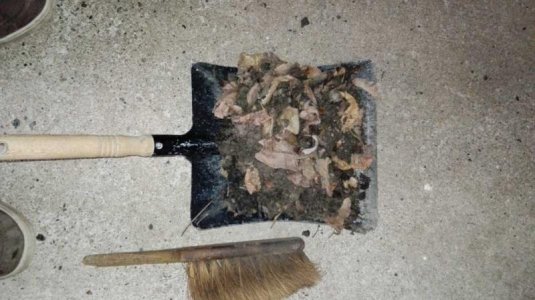 K800_Dreck aus beiden Kotflügeln.jpg