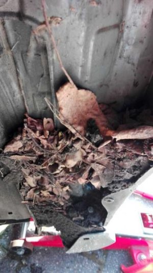 K800_Dreck Kotflügel Links (1).jpg