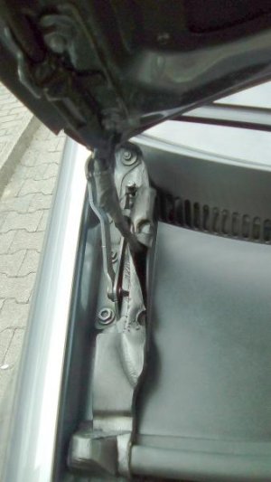 IMG_20160324_160958.jpg IMG_20160324_160958.jpg