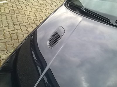 meine Bilder 10,08,2014 003.JPG