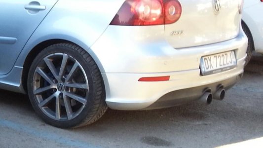 Charleston Winter.jpg