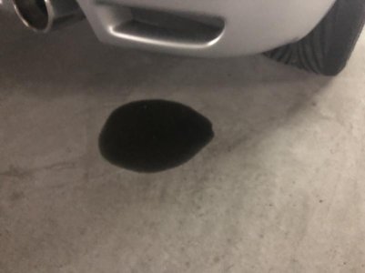 IMG_0973.jpg IMG_0973.jpg