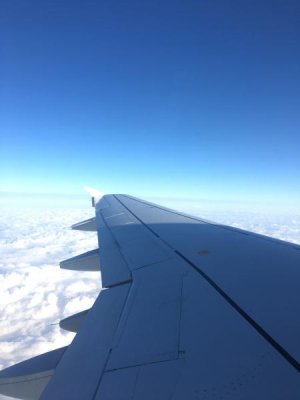 Foto 19.05.18, 06 41 39.jpg