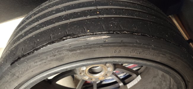 1701083263396.jpg 1701083263396.jpg