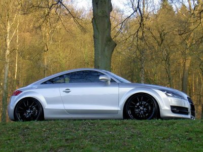 TT April 2009 - 6.JPG