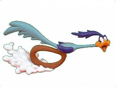 roadrunner.jpg