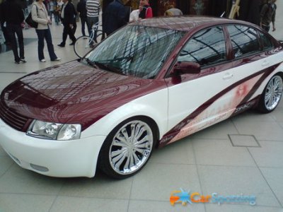VW-Airbrush-Passat_3370med.jpg
