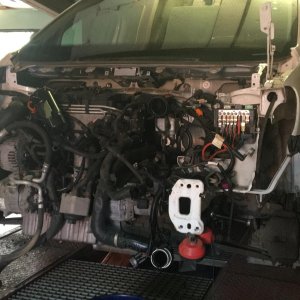 Das alte Herz muss raus!